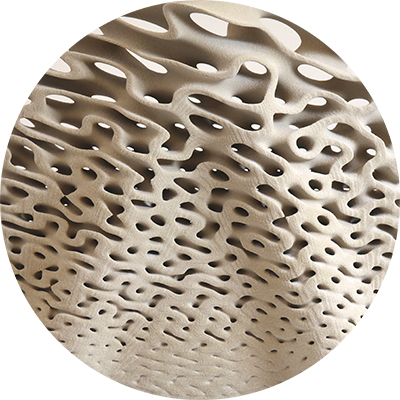 3D printed structurally graded lattice (Patrick Bedarf)
